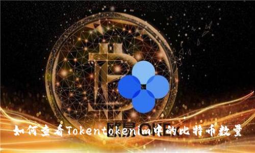 如何查看Tokentokenim中的比特币数量