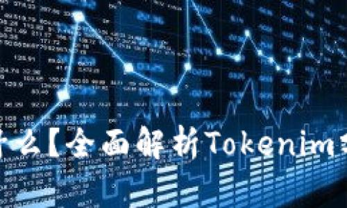 Tokenim分身是什么？全面解析Tokenim分身的概念与应用