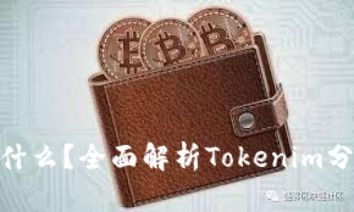Tokenim分身是什么？全面解析Tokenim分身的概念与应用